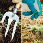 10 Natural Weed Control Methods That Won’t Harm Your Soil