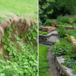 Minimize Soil Erosion in Your Garden: Discover 10 Proven Strategies!