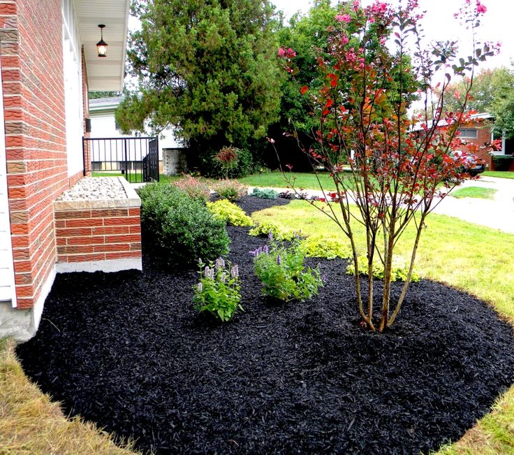 2. Mulch