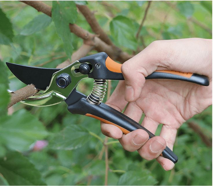 6. Pruning Shears