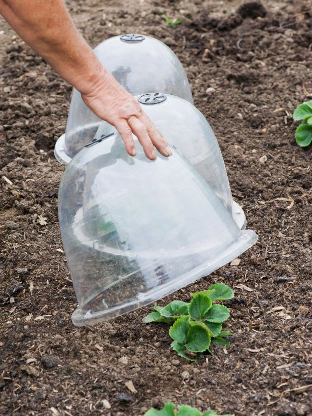 7. Garden Cloche