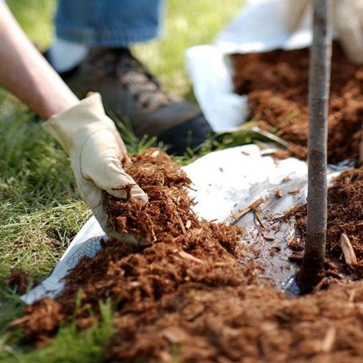 Add a Layer of Mulch