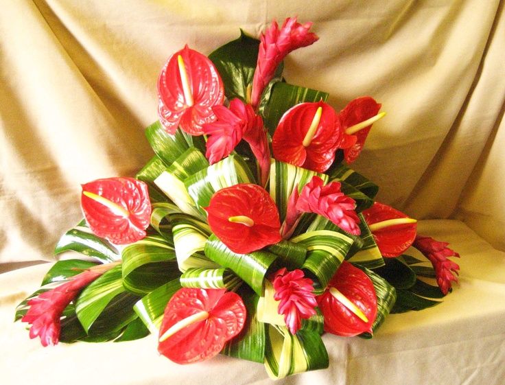 Anthuriums