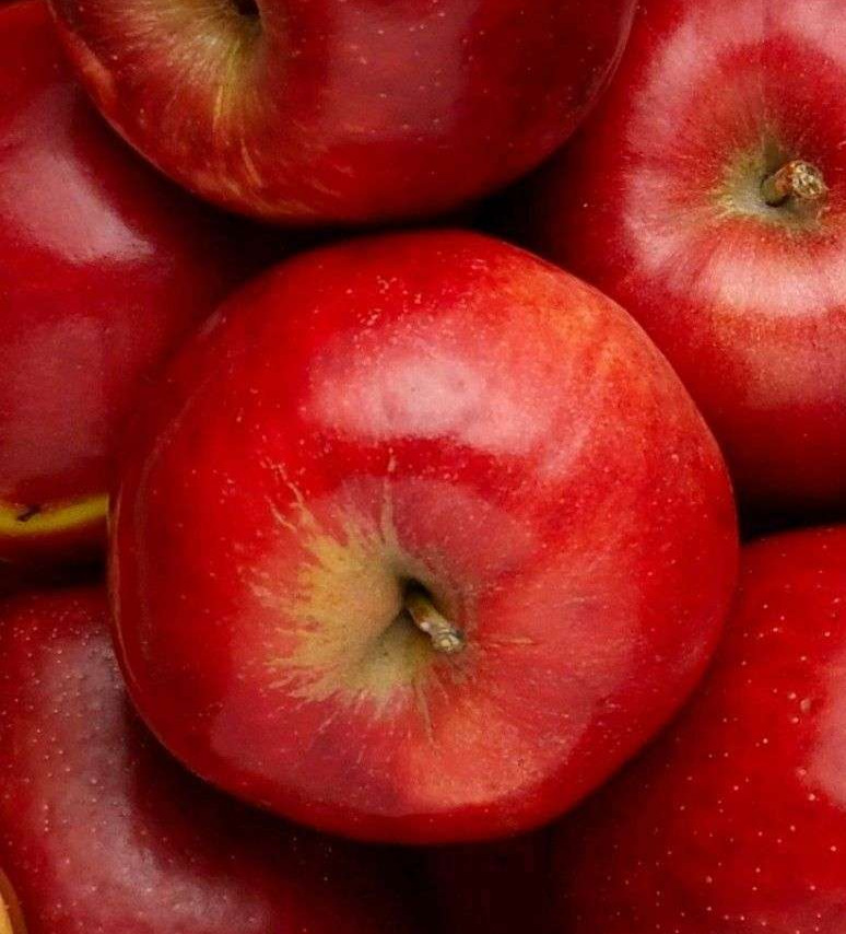 Apples