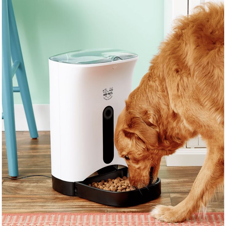 Automated Pet Feeders