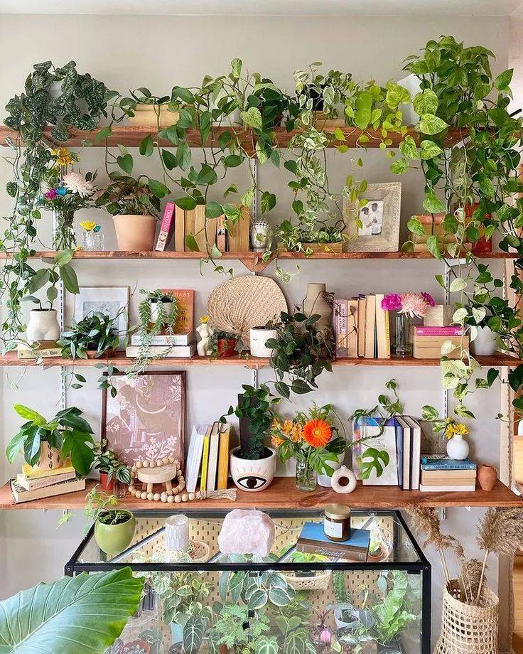 Bookshelf Botanicals