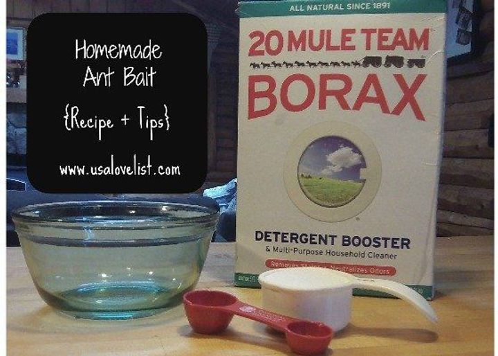 Borax and Sugar Bait