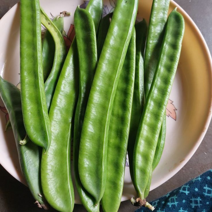 Broad Beans