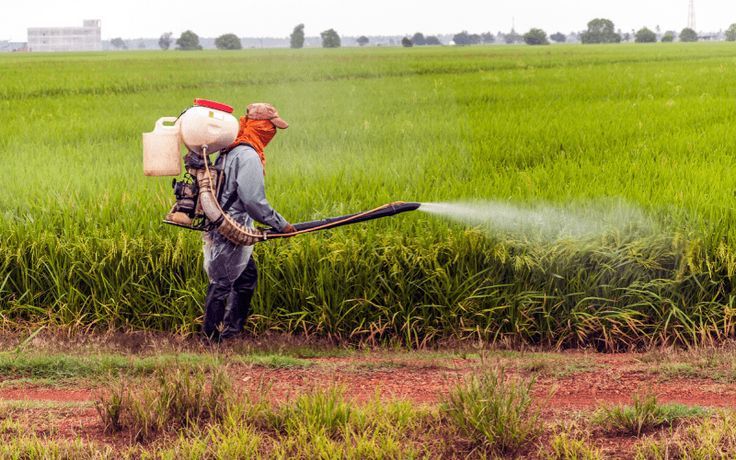 Chemical Pesticides