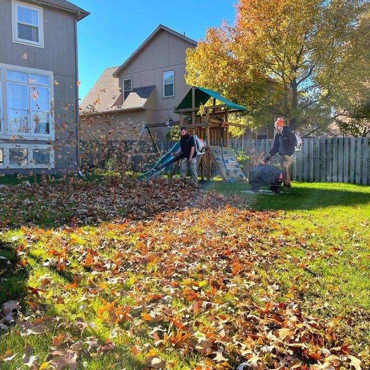 Clear Fallen Leaves Regularly