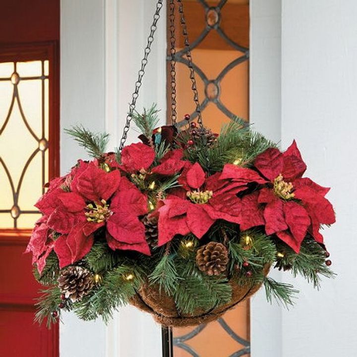 Creative Poinsettia Pots