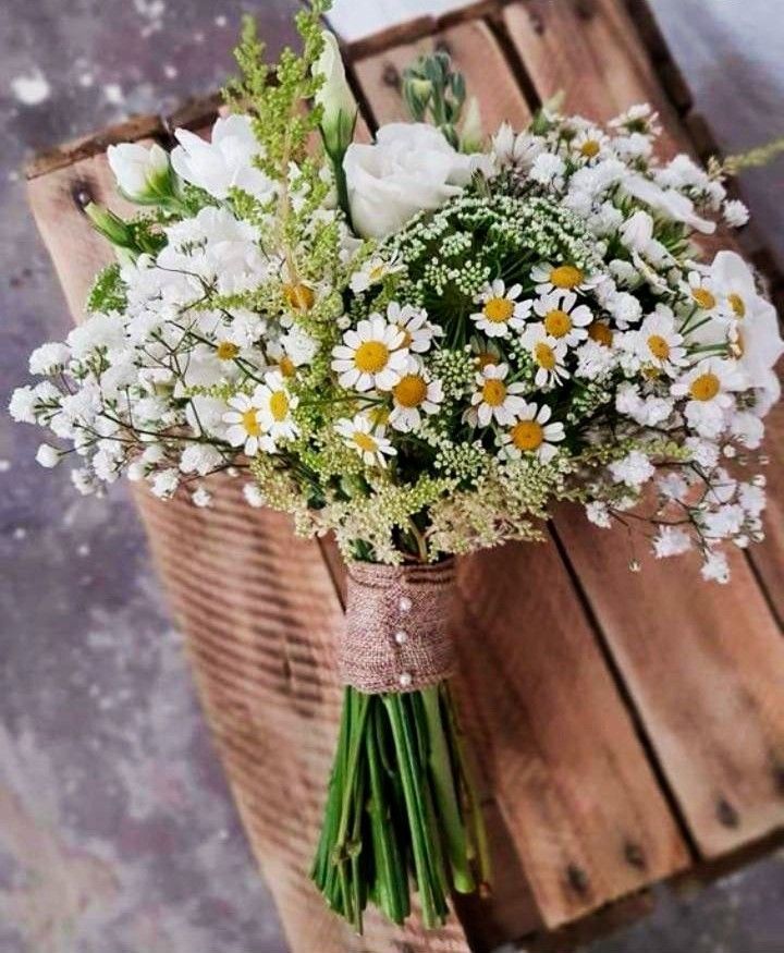 Daisies