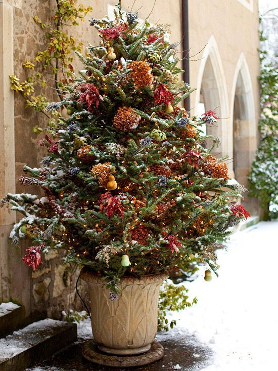 Decorated Outdoor Tree