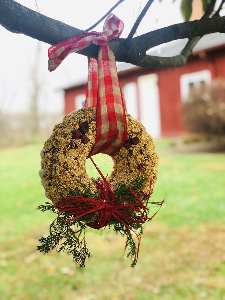 Decorative Bird Feeders