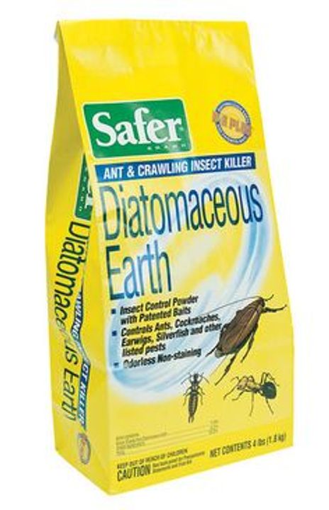 Diatomaceous Earth