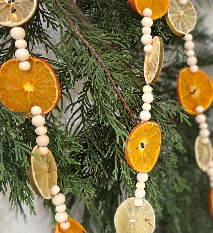 Dried Citrus Garlands