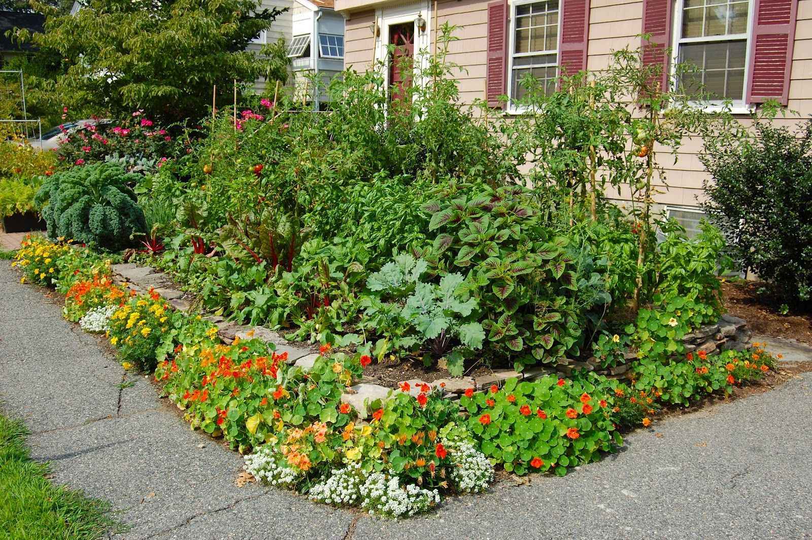 Edible Front Garden