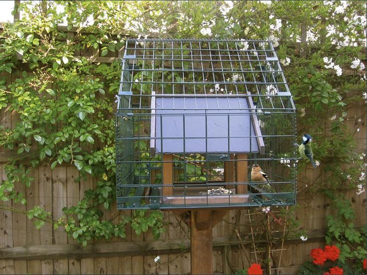 Encourage Birds with Feeders