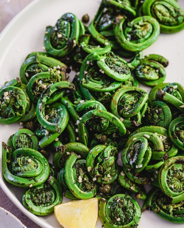 Fiddlehead Ferns