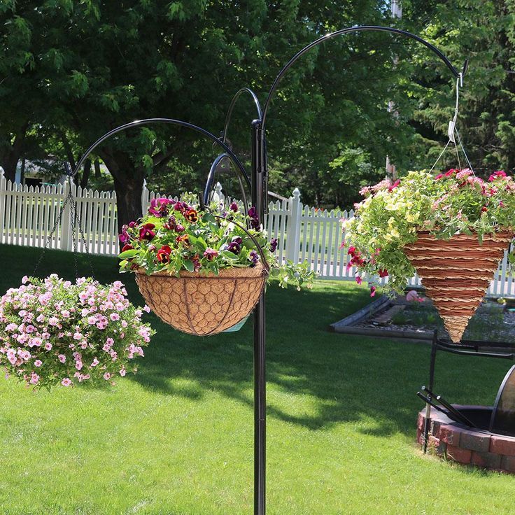 Hanging Basket Display