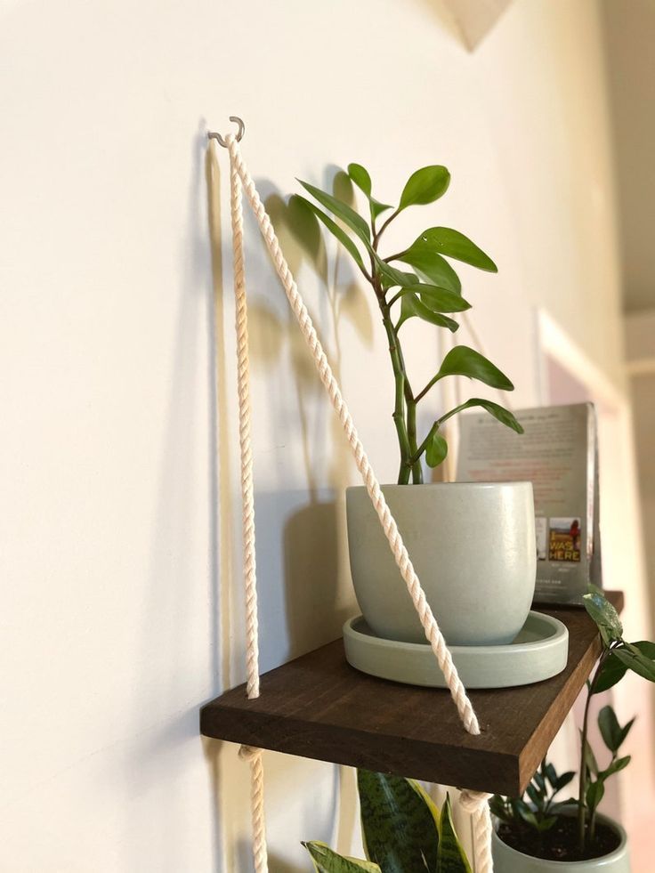 Hanging Rope Shelf