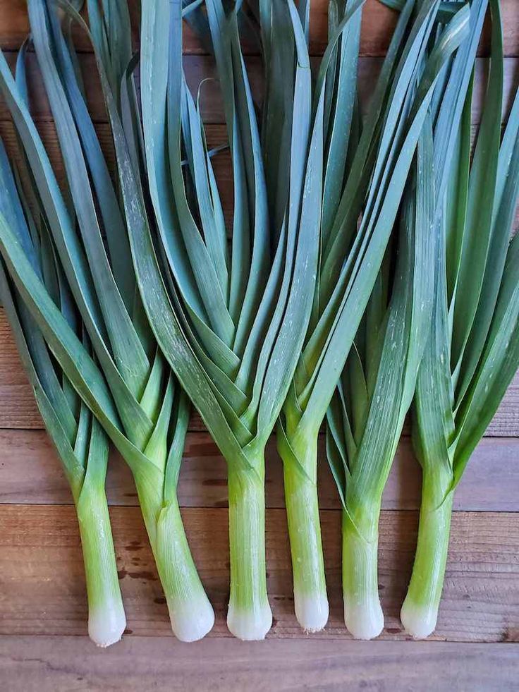 Harvest Winter Vegetables