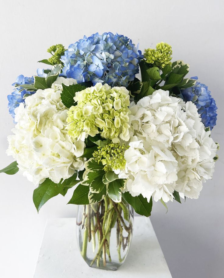 Heavenly Hydrangeas