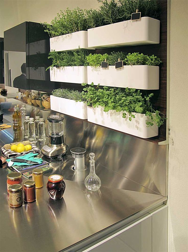 Herb Gardens in Kitchens