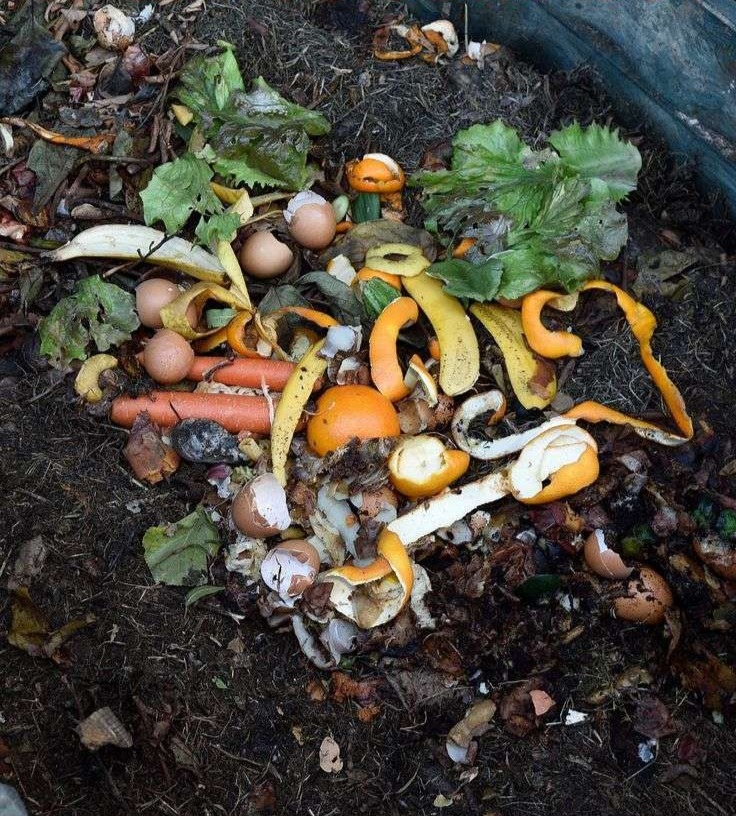 Improper Composting