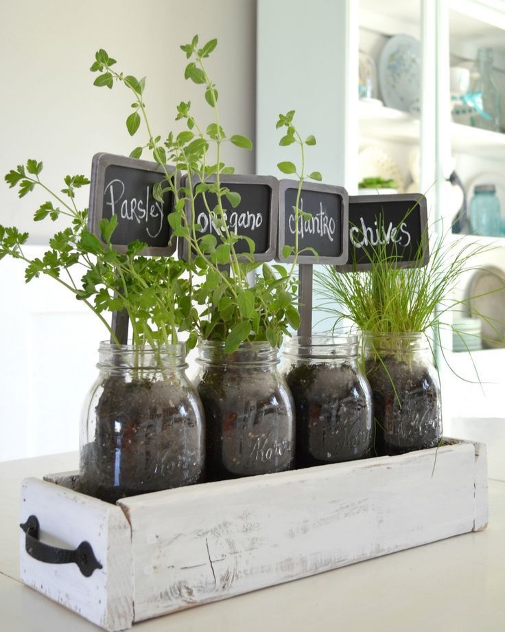 Indoor Herb Planters