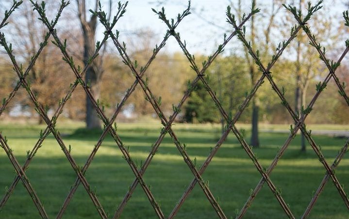 Install Fencing