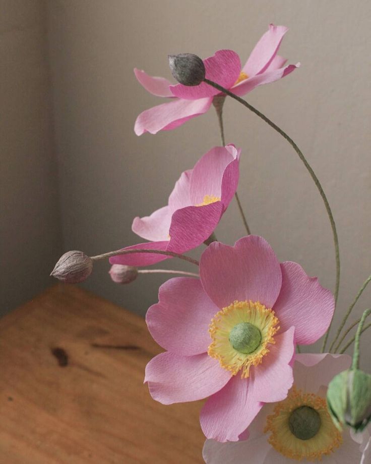 Japanese Anemones