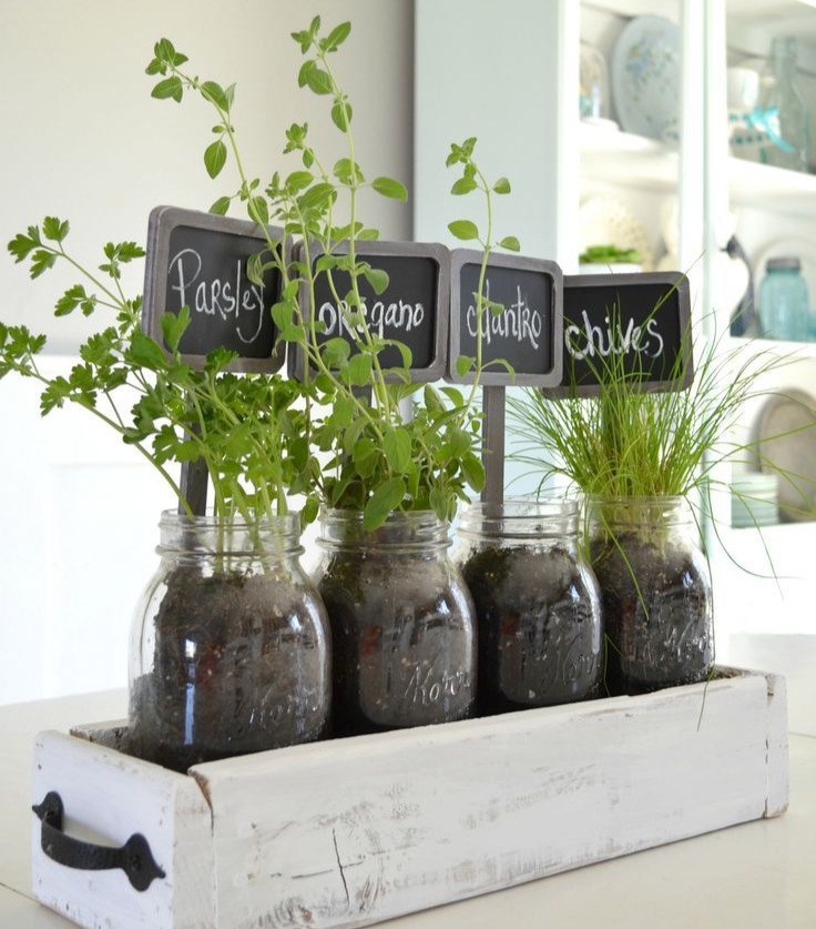 Kitchen Herb Garden