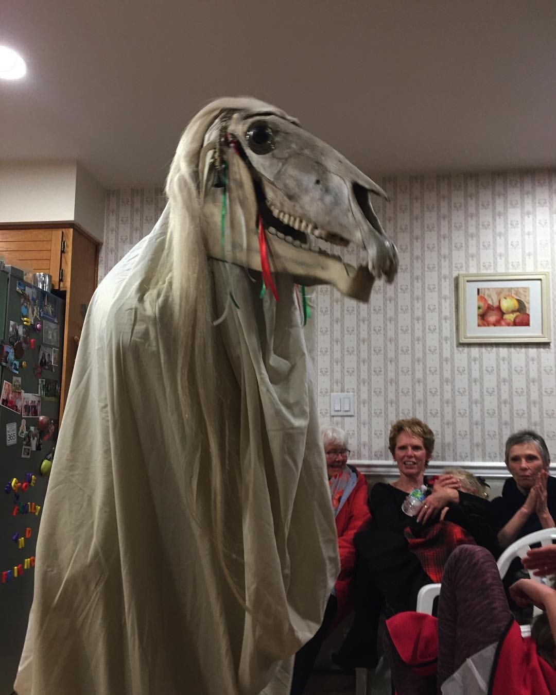 Mari Lwyd in Wales