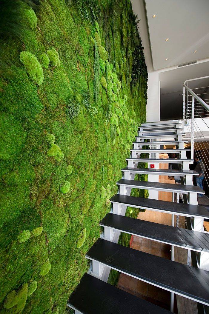 Moss Walls