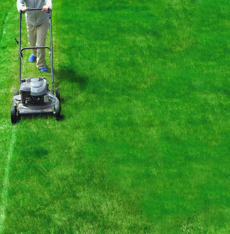 Mow at the Right Height