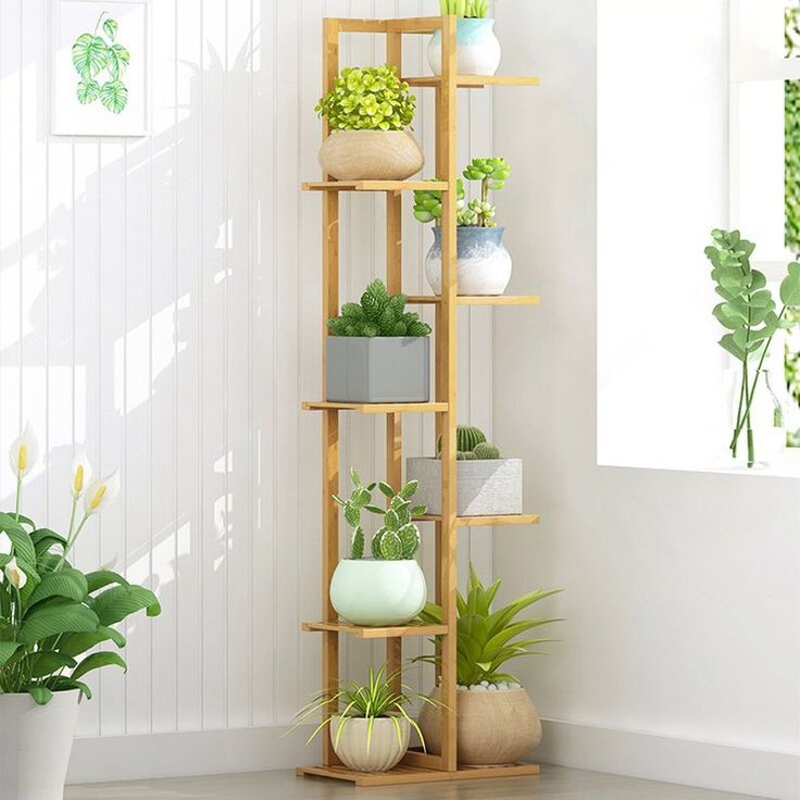 Multi-tiered Bookshelf