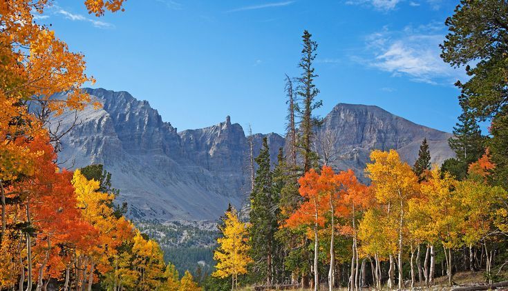 Nevada's Great Basin