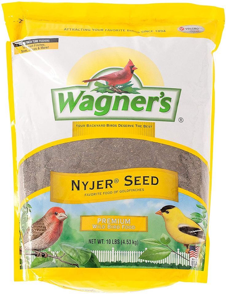 Nyjer Seeds