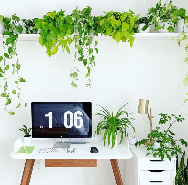 Office Desk Greens