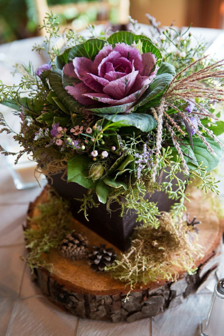 Ornamental Kale