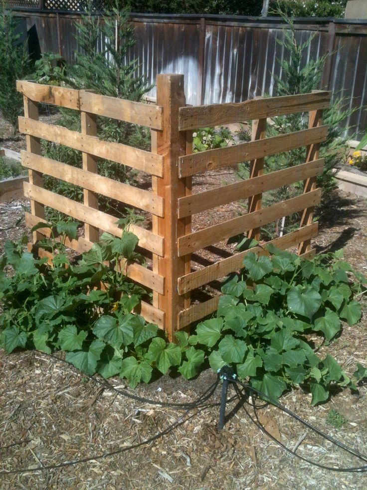 Pallet Wood Trellis