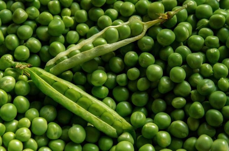 Peas in Pods