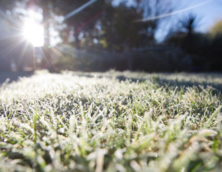 Plan for Winter Lawn Care