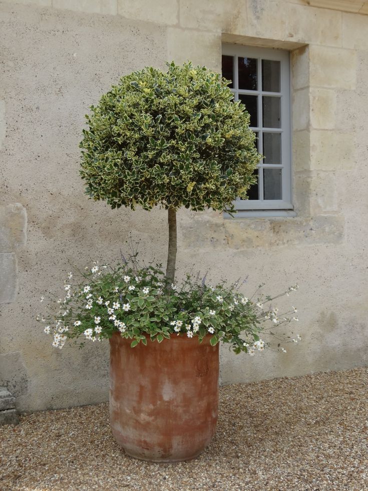 Potted Tree Accents