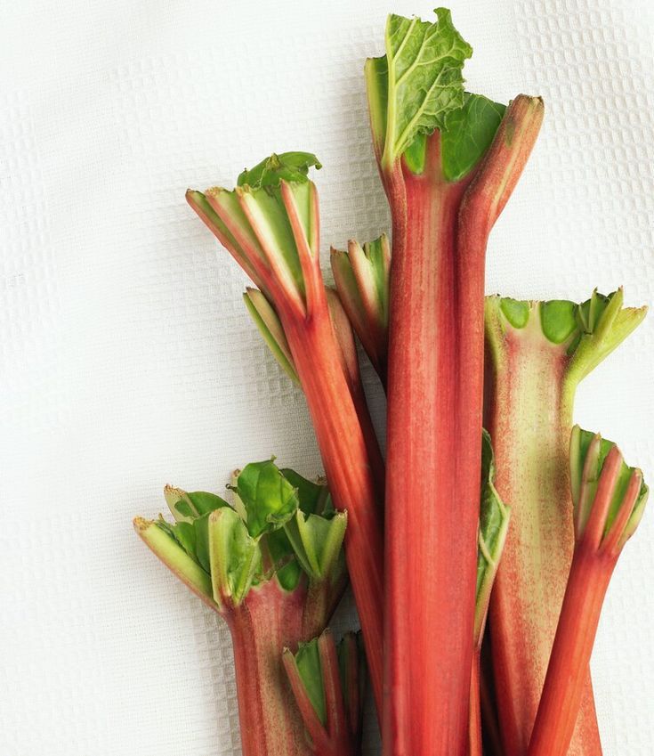 Rhubarb