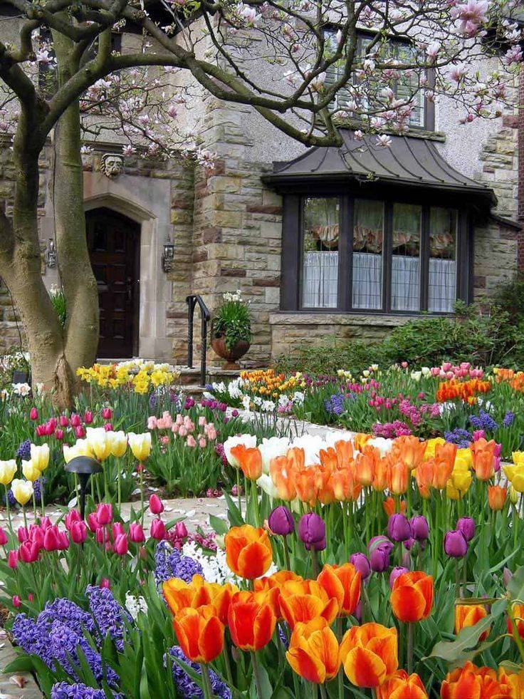 Seasonal Plant Display