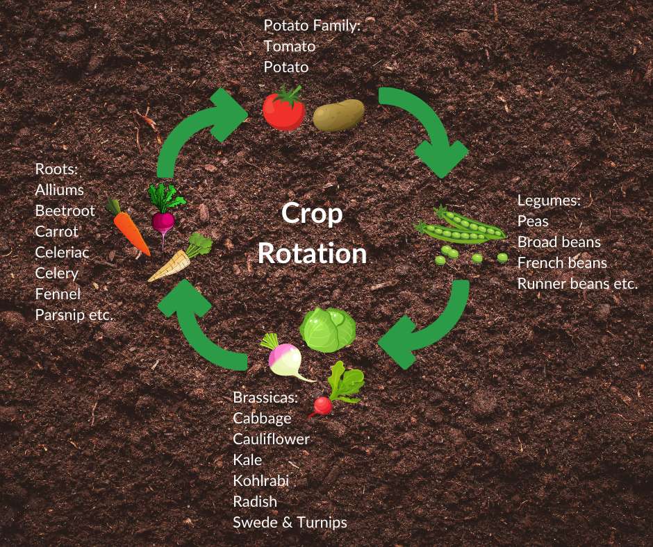 Seasonal Plant Rotation