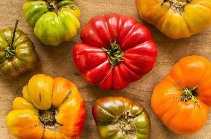 Selecting the Right Tomatoes