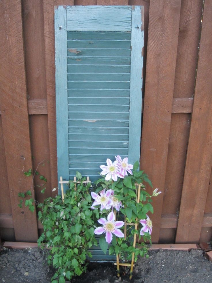 Shutter Trellis